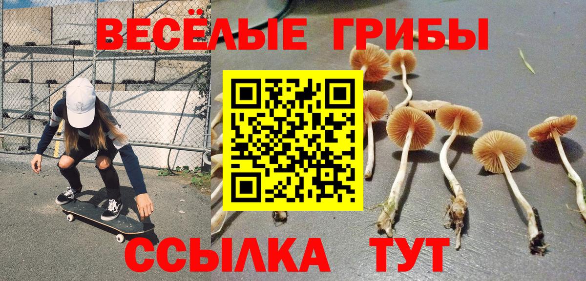 Тавда  Псилоцибиновые грибы GOLDEN TEACHER  Вход с VPN 